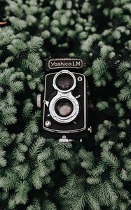 Preview wallpaper camera, retro, branches, vintage, needles, coniferous