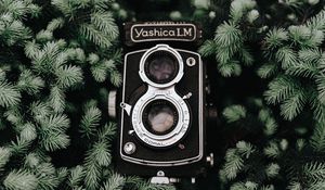 Preview wallpaper camera, retro, branches, vintage, needles, coniferous