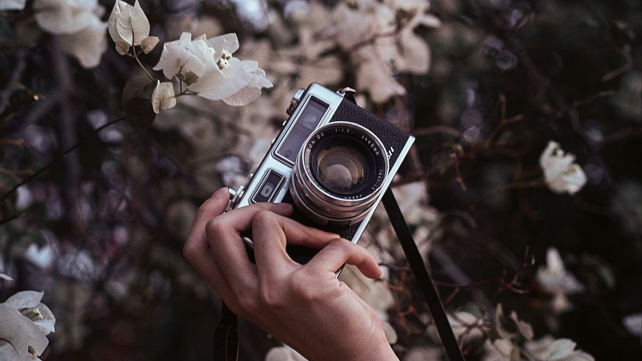 Wallpaper camera, retro, hand, flowers, bloom