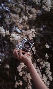 Preview wallpaper camera, retro, hand, flowers, bloom