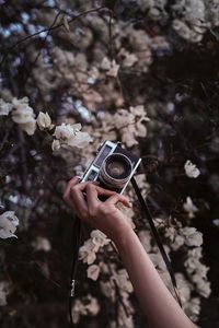 Preview wallpaper camera, retro, hand, flowers, bloom