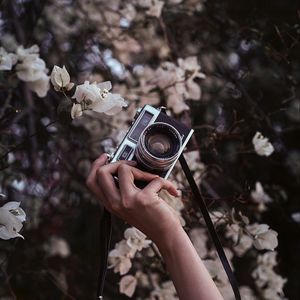 Preview wallpaper camera, retro, hand, flowers, bloom