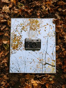 Preview wallpaper camera, vintage, retro, autumn, leaves