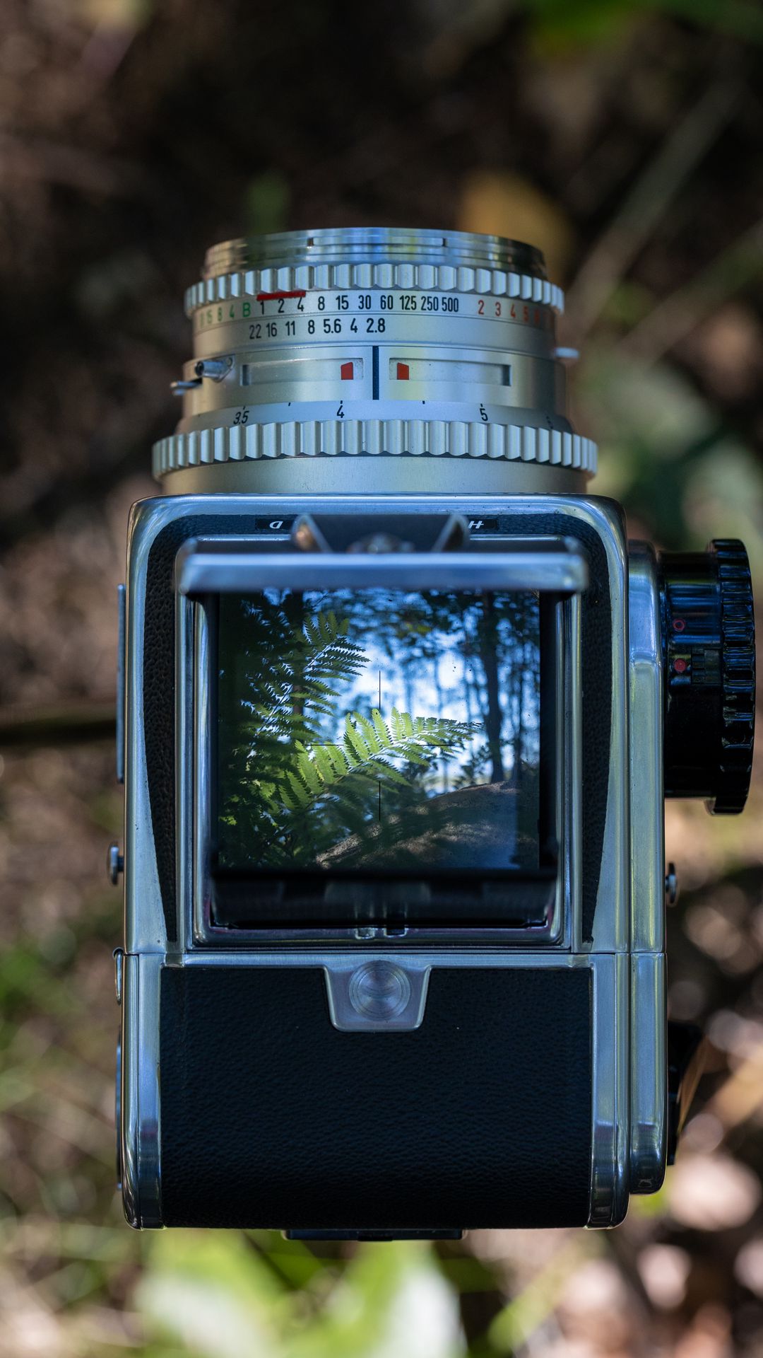 1080x1920 Wallpaper camera, vintage, retro, photo, fern