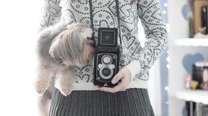 Preview wallpaper camera, yorkshire terrier, mood, sweater