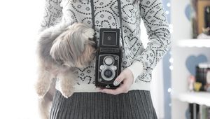 Preview wallpaper camera, yorkshire terrier, mood, sweater