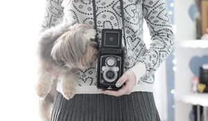 Preview wallpaper camera, yorkshire terrier, mood, sweater