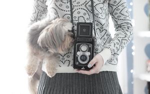 Preview wallpaper camera, yorkshire terrier, mood, sweater