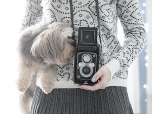 Preview wallpaper camera, yorkshire terrier, mood, sweater