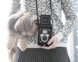 Preview wallpaper camera, yorkshire terrier, mood, sweater