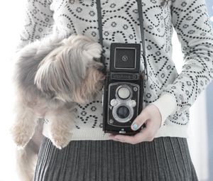 Preview wallpaper camera, yorkshire terrier, mood, sweater