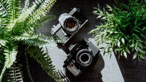 Preview wallpaper cameras, black, lenses, plants