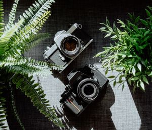 Preview wallpaper cameras, black, lenses, plants