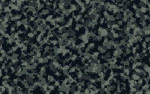 Preview wallpaper camouflage, disguise, pattern, spots, forest