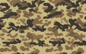 Preview wallpaper camouflage, spots, brown, dark, abstraction