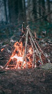 Preview wallpaper campfire, branches, fire, camping