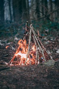 Preview wallpaper campfire, branches, fire, camping