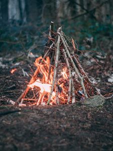 Preview wallpaper campfire, branches, fire, camping