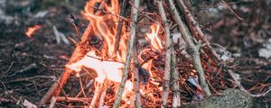 Preview wallpaper campfire, branches, fire, camping