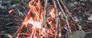 Preview wallpaper campfire, branches, fire, camping