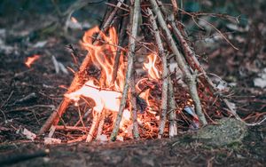 Preview wallpaper campfire, branches, fire, camping