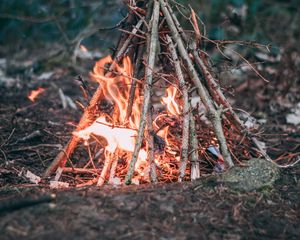 Preview wallpaper campfire, branches, fire, camping