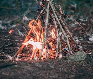 Preview wallpaper campfire, branches, fire, camping