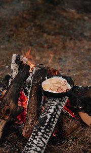 Preview wallpaper camping, bonfire, breakfast, nature