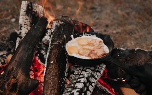 Preview wallpaper camping, bonfire, breakfast, nature