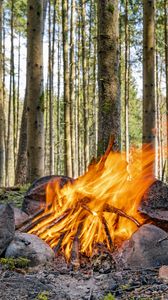 Preview wallpaper camping, bonfire, firewood, flame, forest, trees