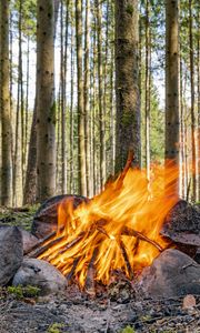 Preview wallpaper camping, bonfire, firewood, flame, forest, trees