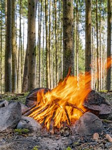 Preview wallpaper camping, bonfire, firewood, flame, forest, trees