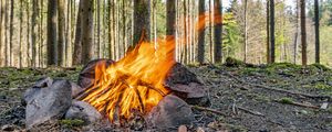 Preview wallpaper camping, bonfire, firewood, flame, forest, trees