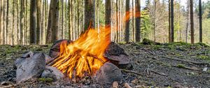 Preview wallpaper camping, bonfire, firewood, flame, forest, trees