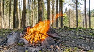 Preview wallpaper camping, bonfire, firewood, flame, forest, trees