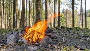 Preview wallpaper camping, bonfire, firewood, flame, forest, trees