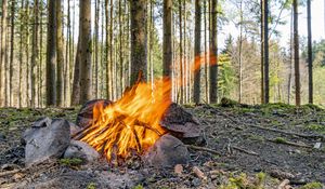 Preview wallpaper camping, bonfire, firewood, flame, forest, trees