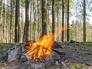 Preview wallpaper camping, bonfire, firewood, flame, forest, trees