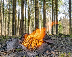 Preview wallpaper camping, bonfire, firewood, flame, forest, trees