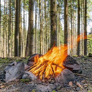 Preview wallpaper camping, bonfire, firewood, flame, forest, trees