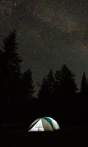 Preview wallpaper camping, tent, trees, spruce, starry sky, stars