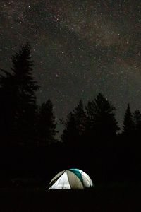 Preview wallpaper camping, tent, trees, spruce, starry sky, stars