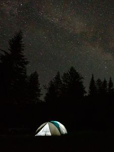 Preview wallpaper camping, tent, trees, spruce, starry sky, stars