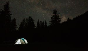 Preview wallpaper camping, tent, trees, spruce, starry sky, stars