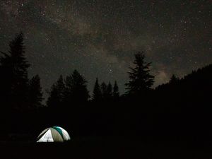 Preview wallpaper camping, tent, trees, spruce, starry sky, stars