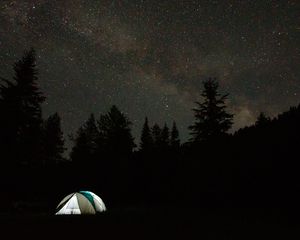 Preview wallpaper camping, tent, trees, spruce, starry sky, stars