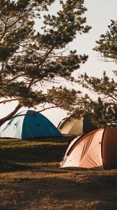 Preview wallpaper camping, tents, trees, rest
