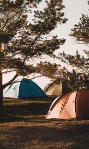 Preview wallpaper camping, tents, trees, rest