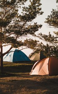 Preview wallpaper camping, tents, trees, rest