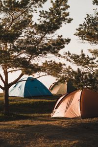 Preview wallpaper camping, tents, trees, rest